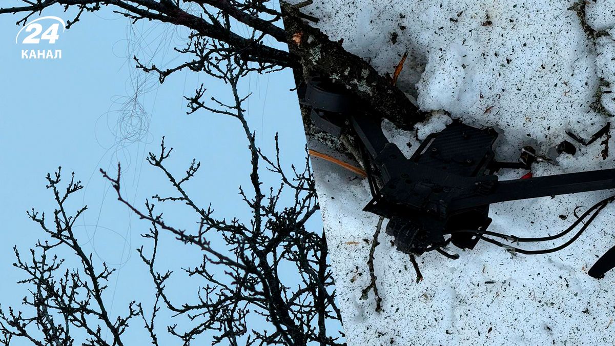 В Харькове дрон попал в дерево В Харькове дрон попал в дерево