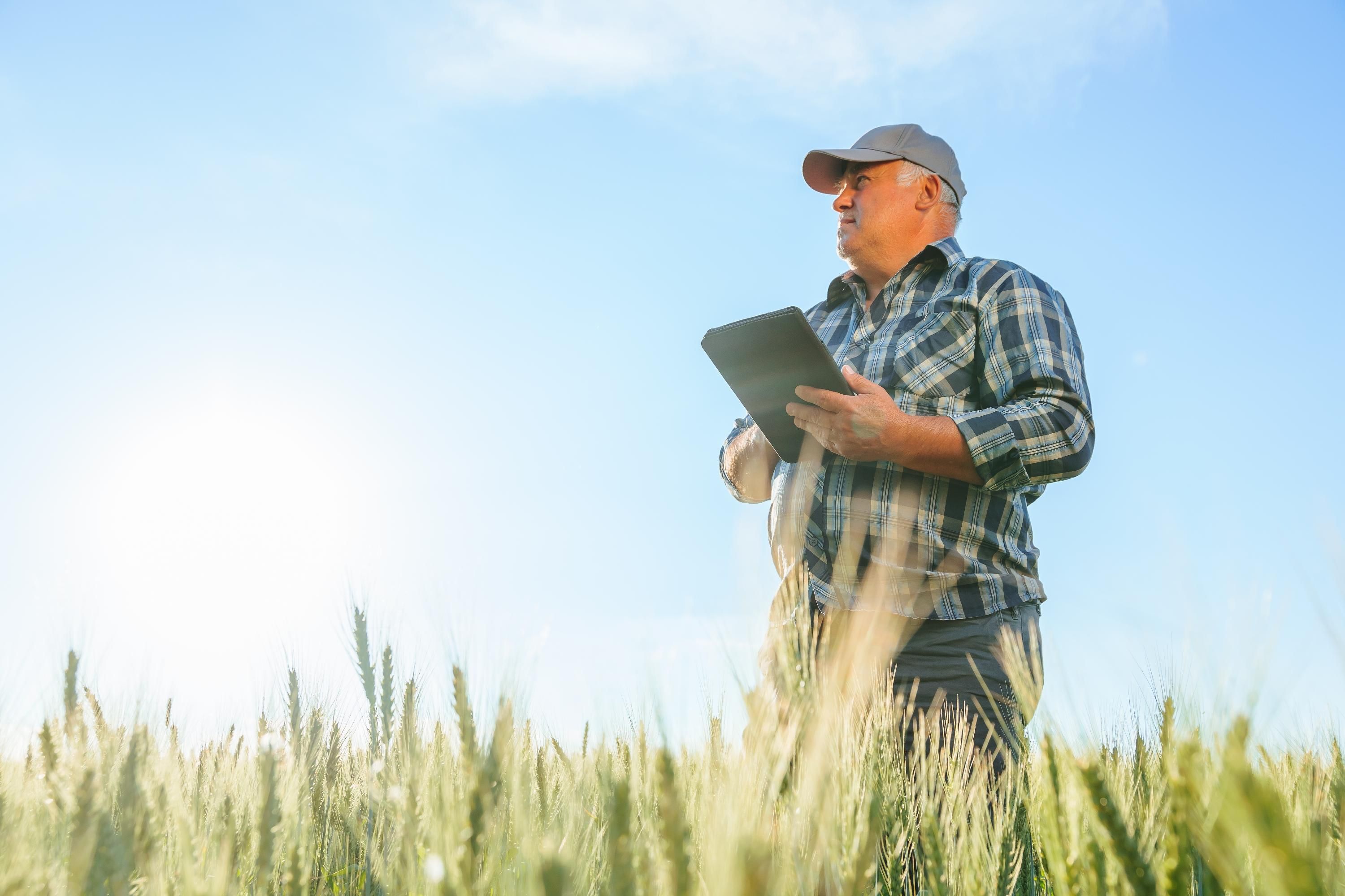 Кто получит деньги Кто получит деньги