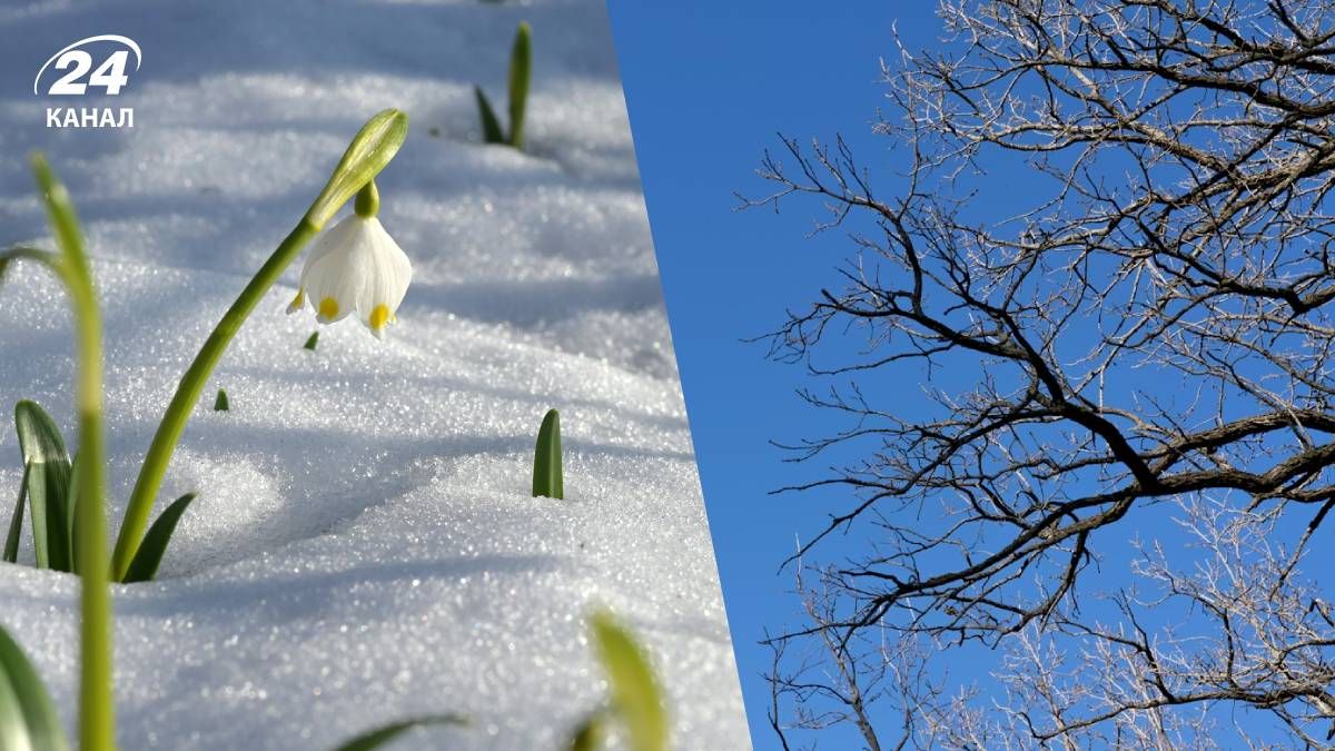 Погода в Украине в начале марта - 24 Канал Погода в Украине в начале марта - 24 Канал