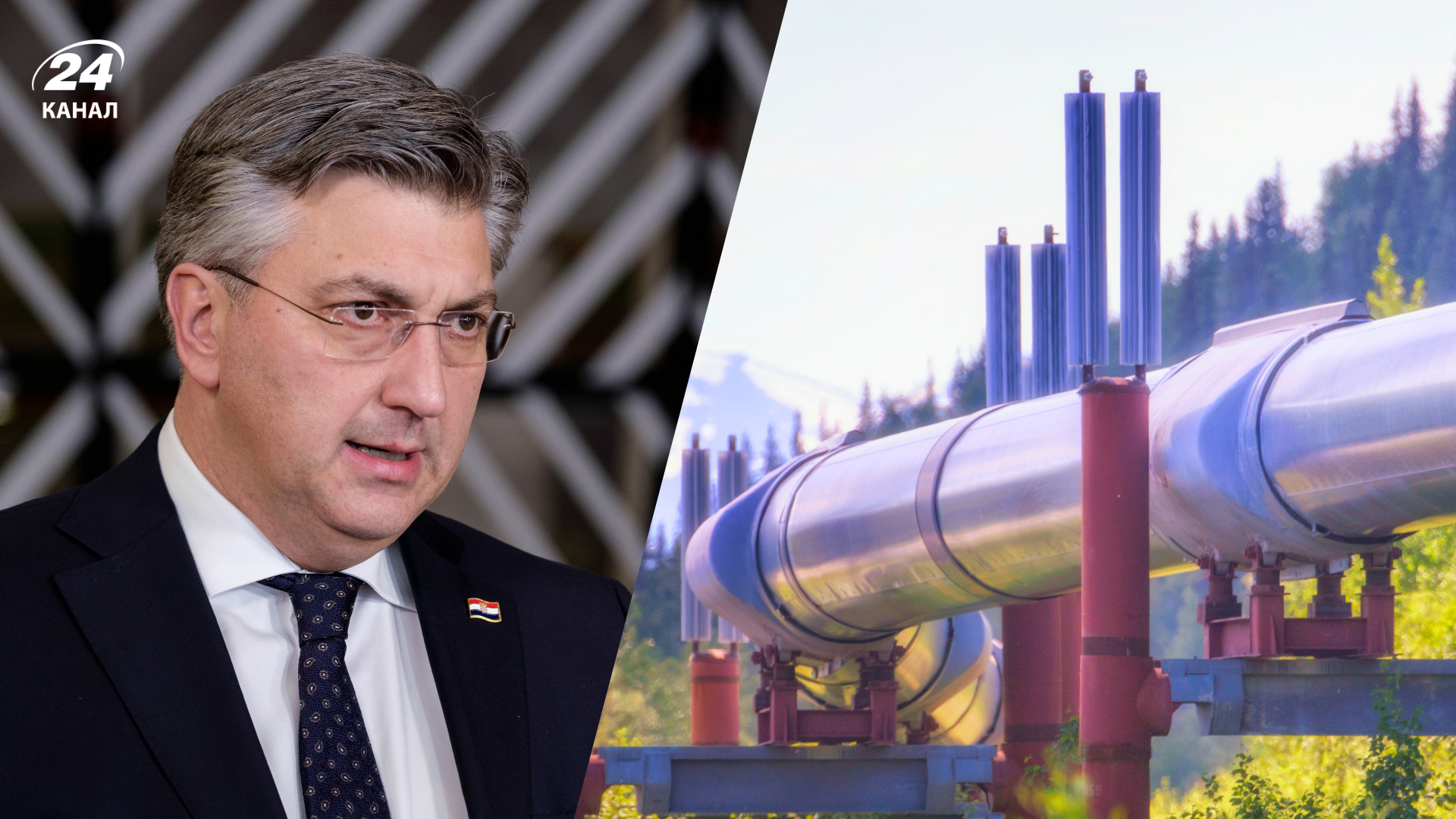 Хорватия готова заменить поставки через "Дружбу"