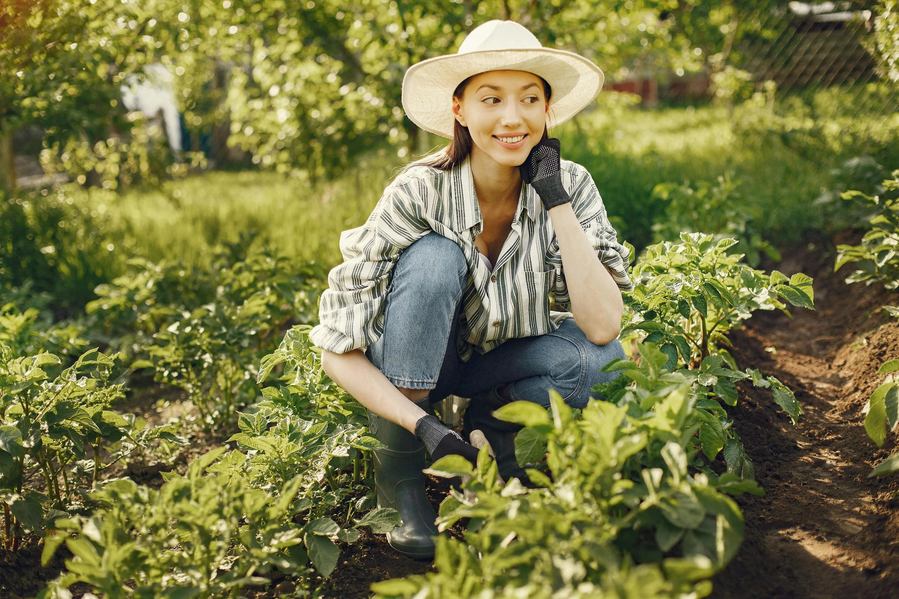 Мульча допомагає картоплі краще рости / Фото Pexels