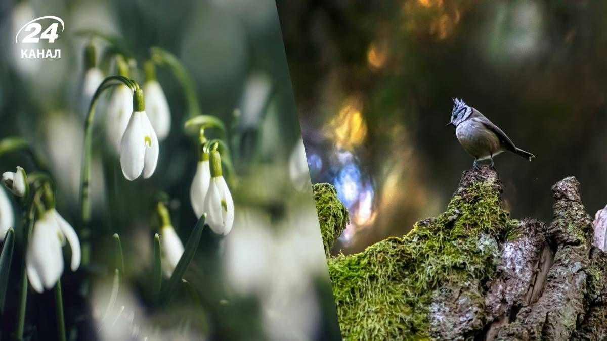 Прогноз погоди в Україні на вихідні - 24 Канал Прогноз погоди в Україні на вихідні - 24 Канал