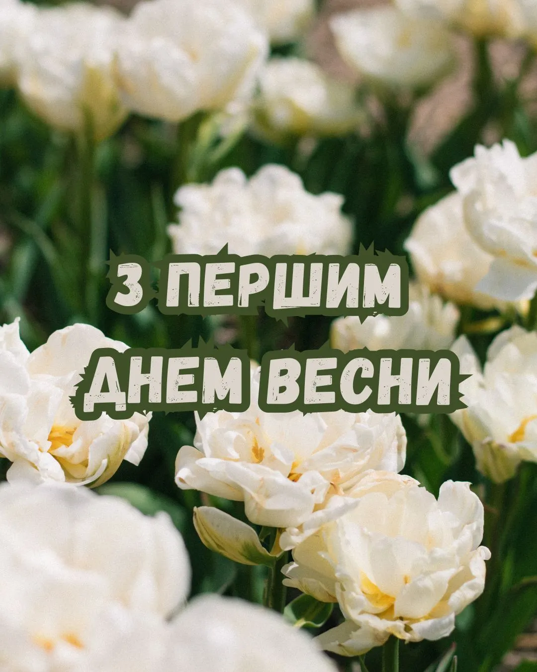 Привітання з першим днем весни 2026 Привітання з першим днем весни 2026