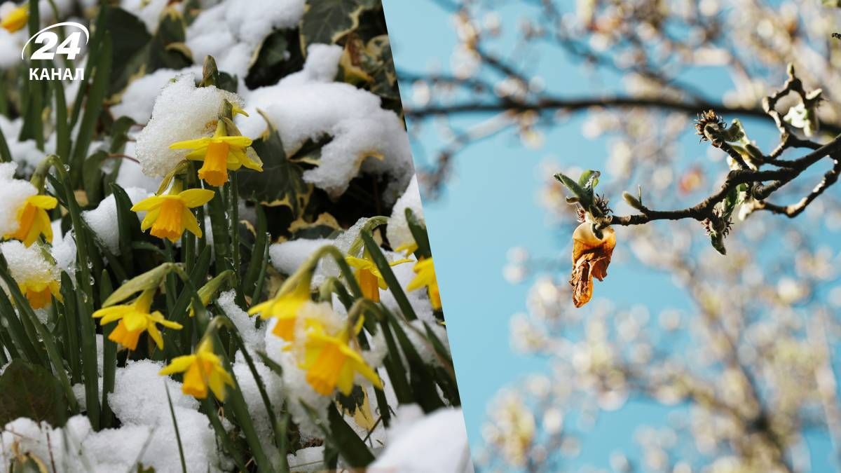 Погода в березні 2026 року - 24 Канал