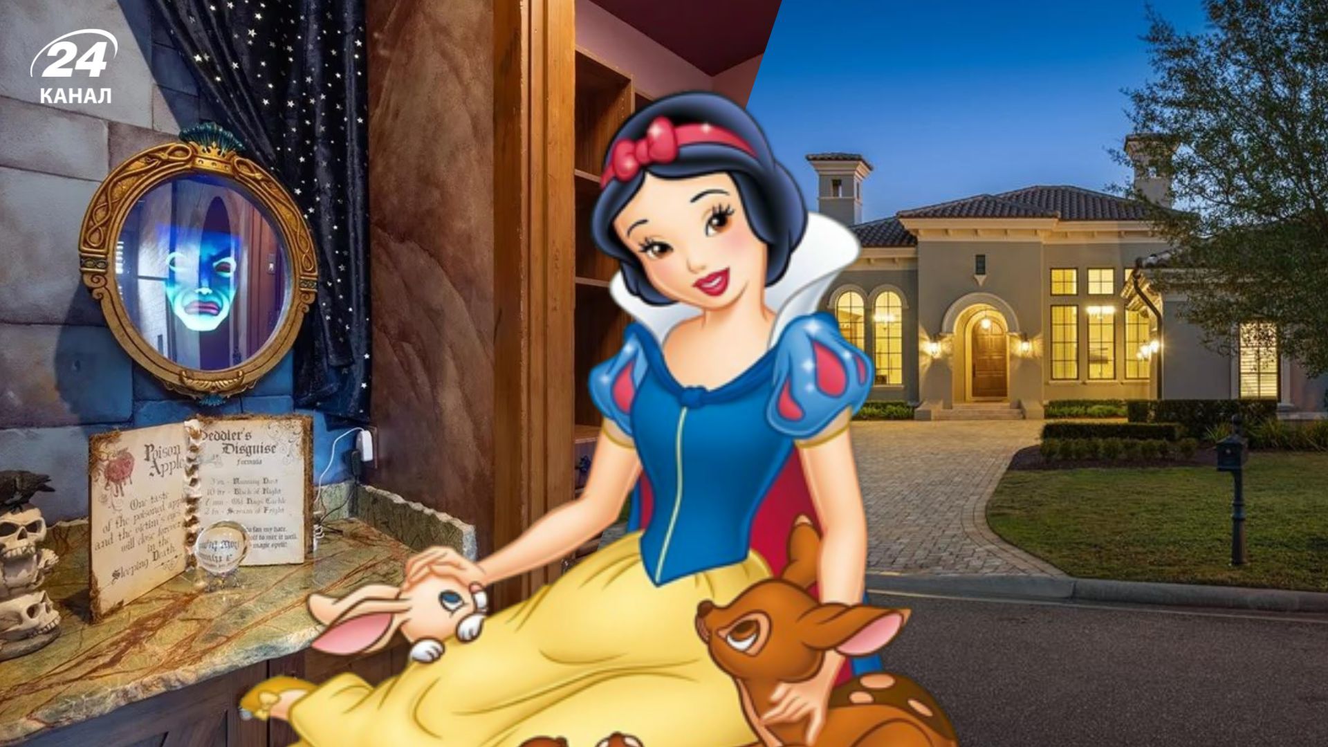 Дом для фанатов Disney