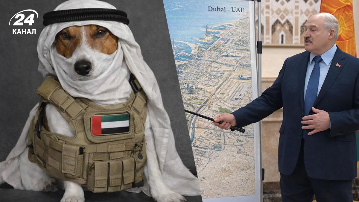 В соцсетях распространяются мемы о Дубае В соцсетях распространяются мемы о Дубае