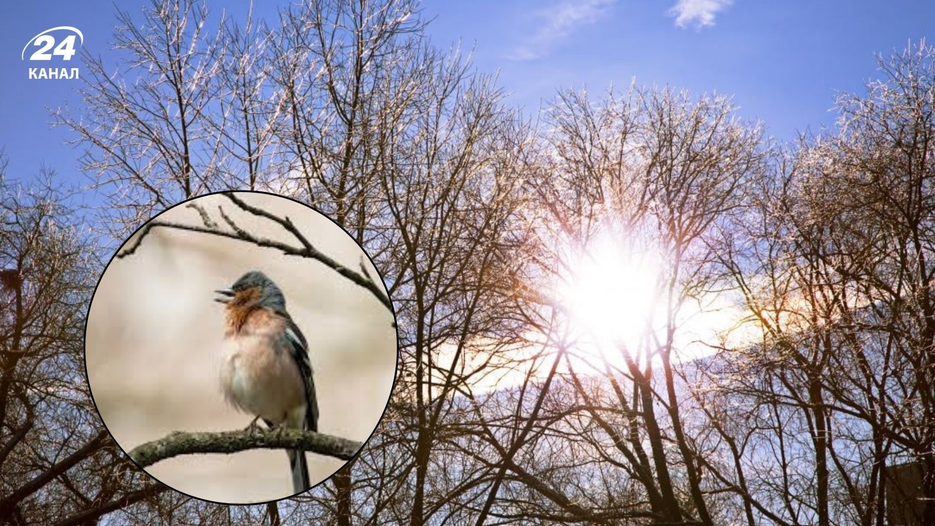 Какой будет погода в Украине 2 марта