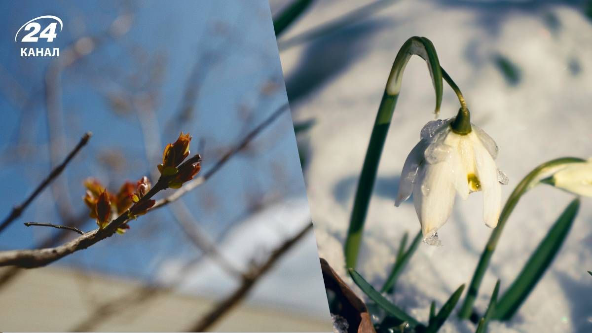 Прогноз погоди в Україні на перший тиждень березня Прогноз погоди в Україні на перший тиждень березня
