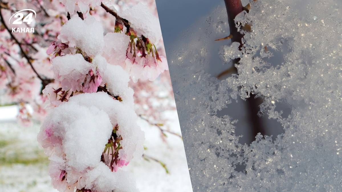 Сильный снег весной маловероятен - 24 Канал Сильный снег весной маловероятен - 24 Канал