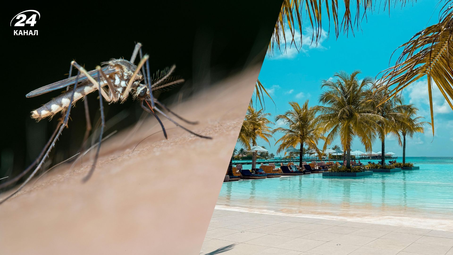 Львовская туристка подхватила лихорадку Денге на Мальдивах