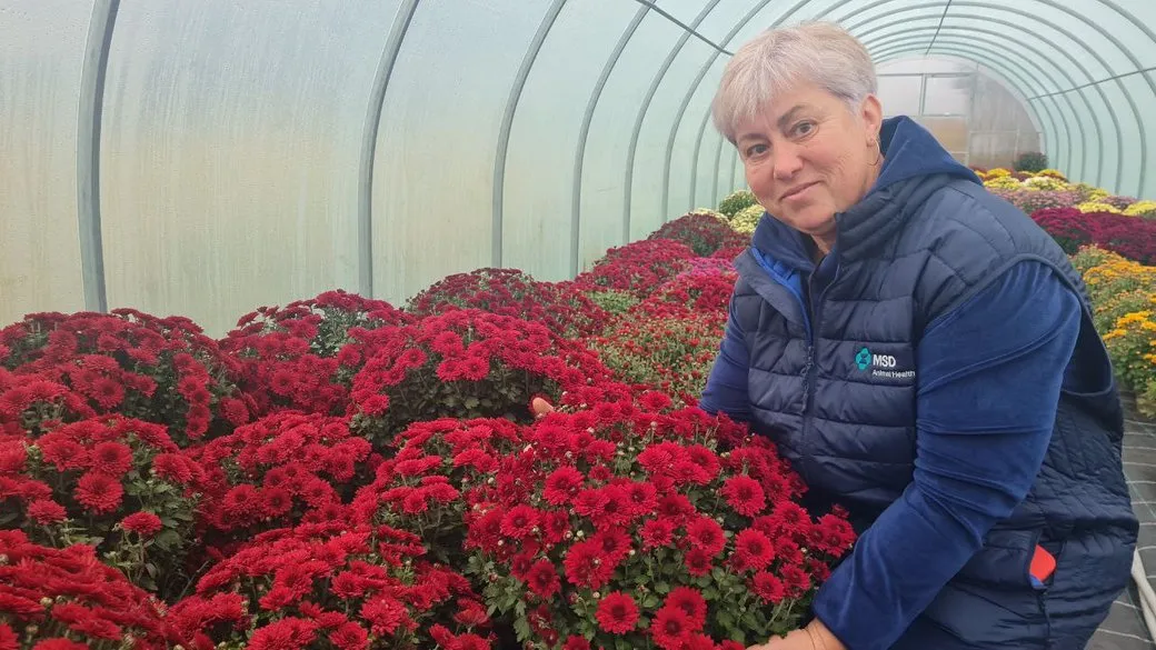 Підживлення покращать ріст квітів / Фото Суспільне Житомир