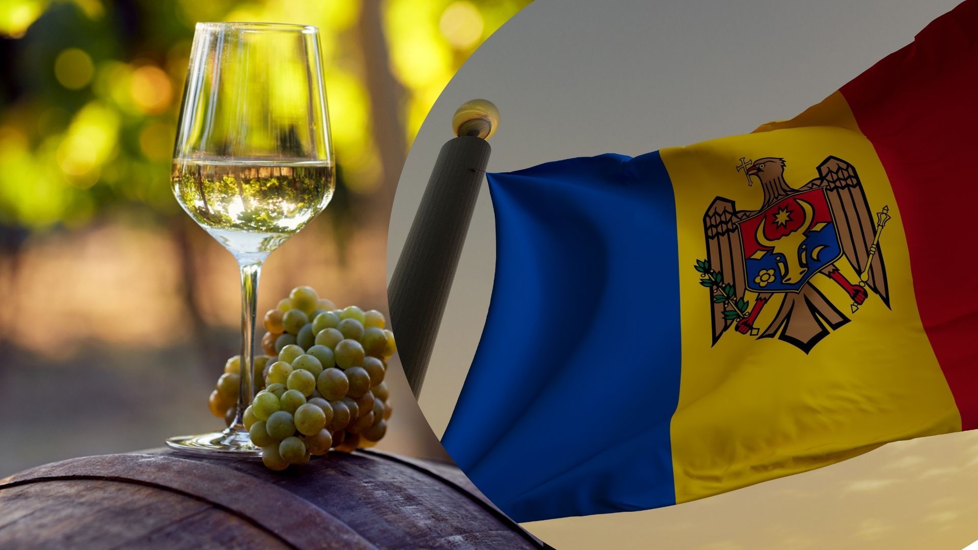 Украина ограничит импорт товаров из одной страны: каких продуктов будут касаться ограничения - Агро 24