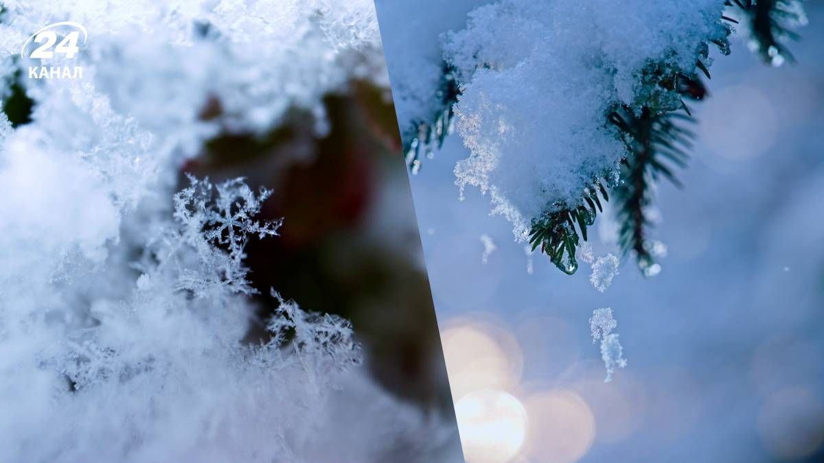 Різке похолодання у березні є малоймовірним - 24 Канал