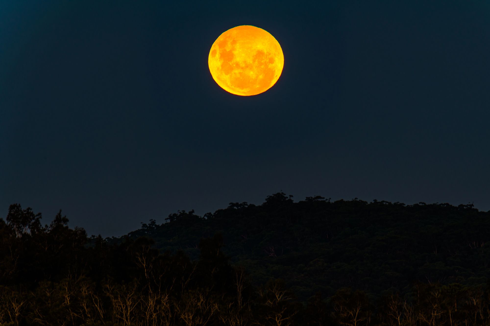 Что такое Червячное полнолуние и когда оно взойдет над Украиной Что такое Червячное полнолуние и когда оно взойдет над Украиной