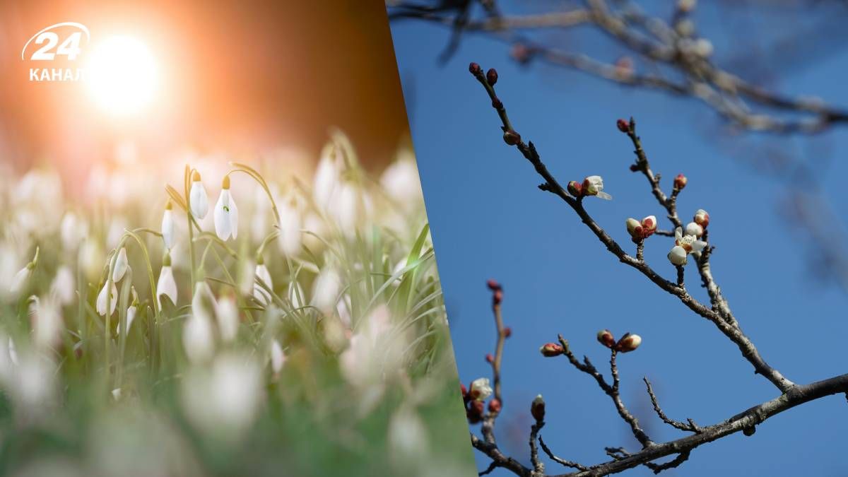 Різке потепління в Україні наразі не прогнозують Різке потепління в Україні наразі не прогнозують