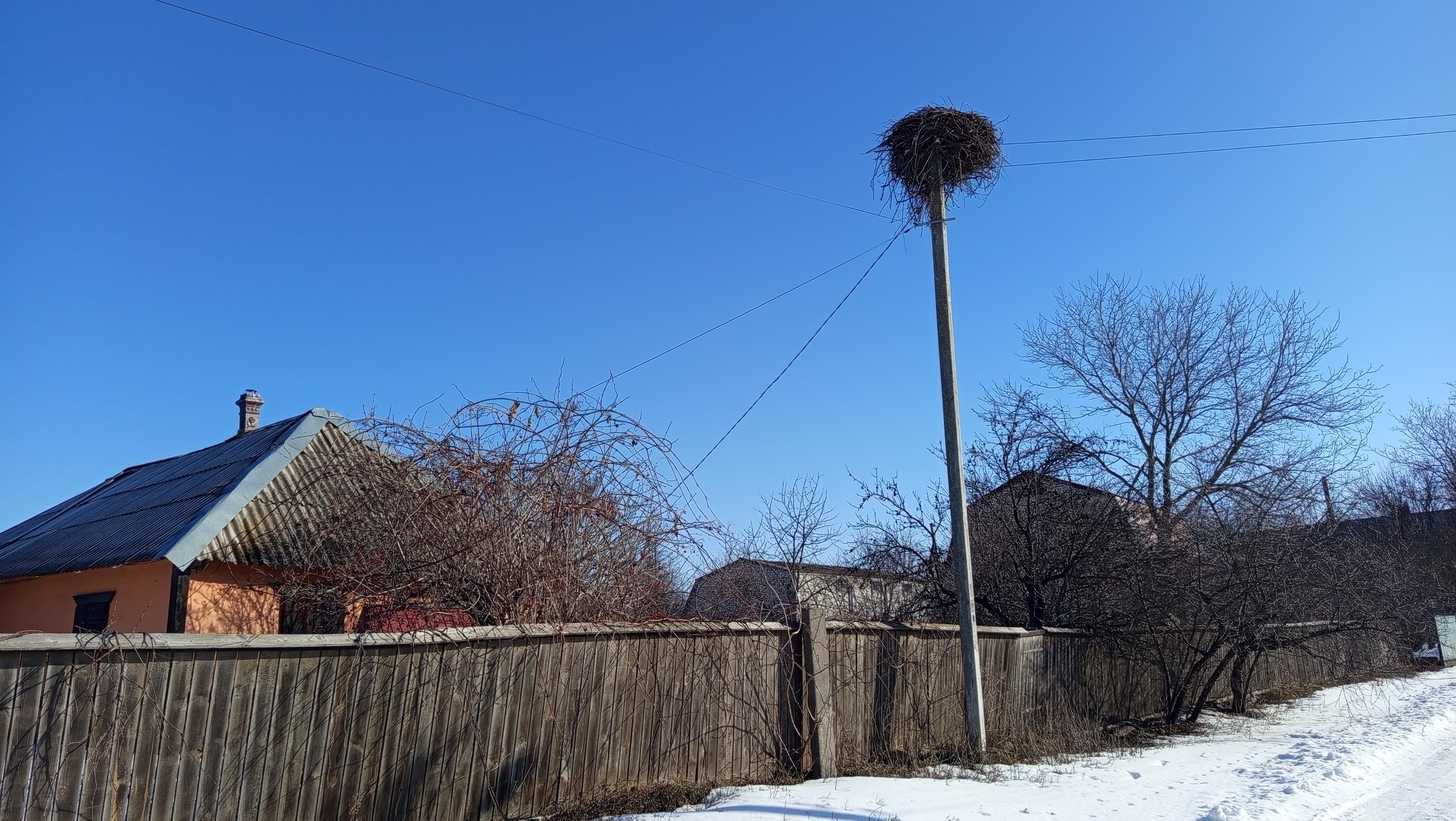 Кожен другий українець хоче в село