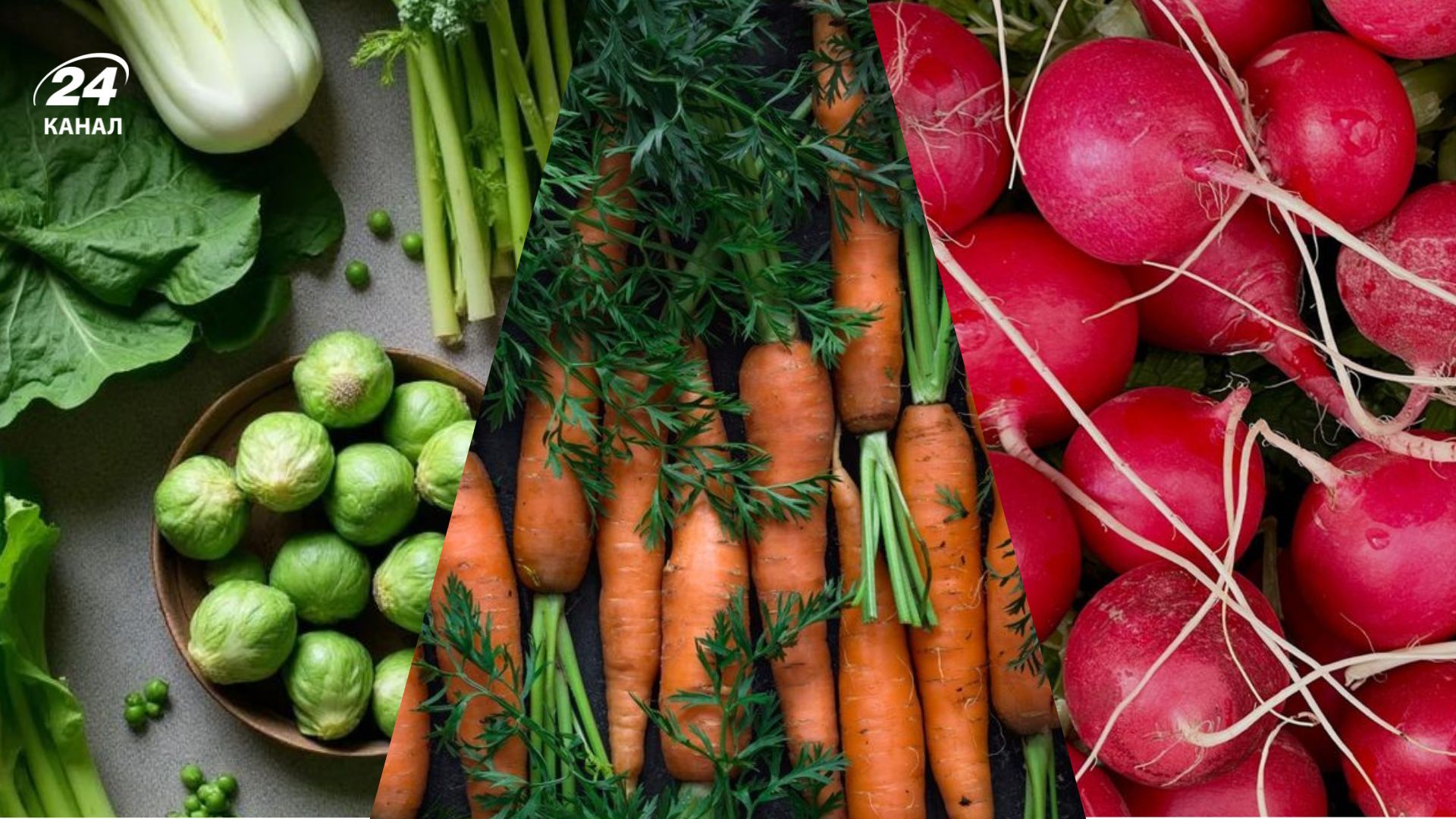 Чимало популярних овочів і зелені можна сіяти вже у березні