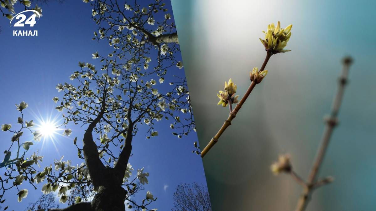 Погода в Украине на ближайшие дни на ближайшие дни Погода в Украине на ближайшие дни на ближайшие дни