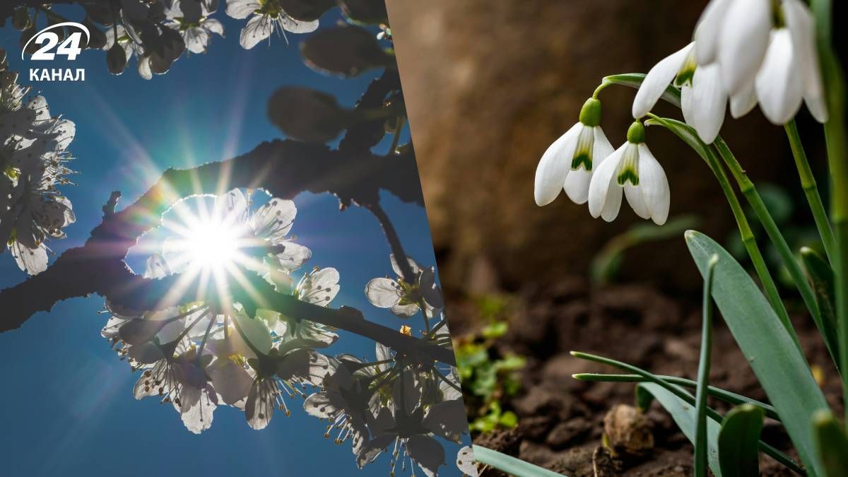 В Україні відбувається тенденція до весни - 24 Канал