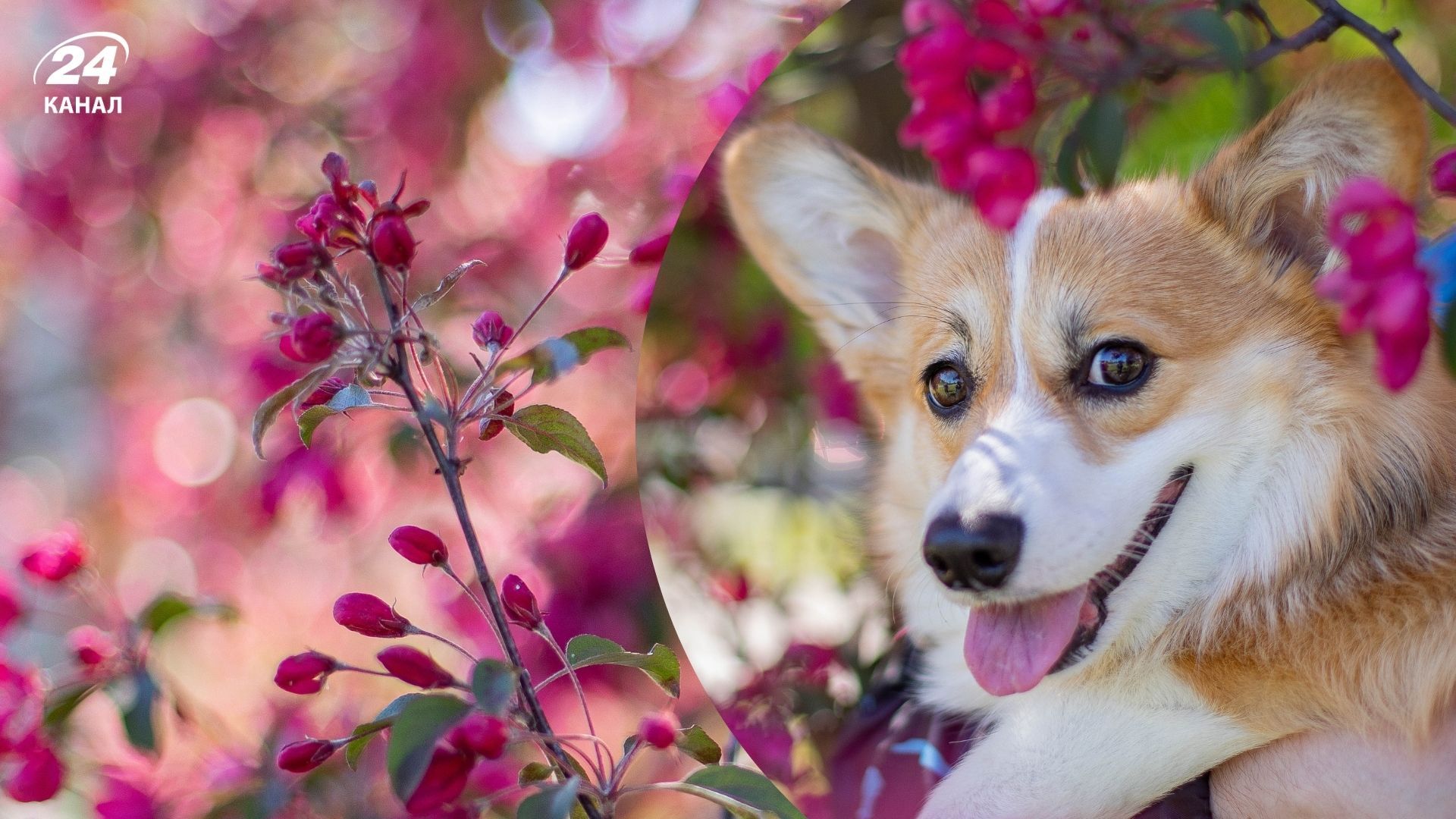 Поки в одних областях буде +15, в інших йтиме мокрий сніг: прогноз погоди на 4 березня - 24 Канал
