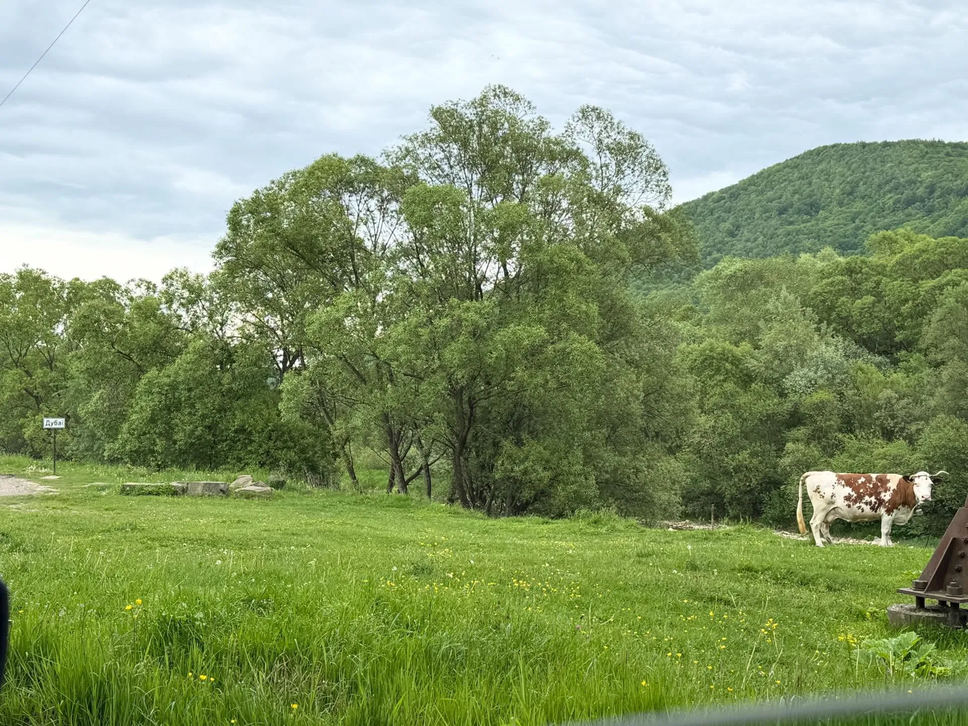 Дубаї на Львівщині
