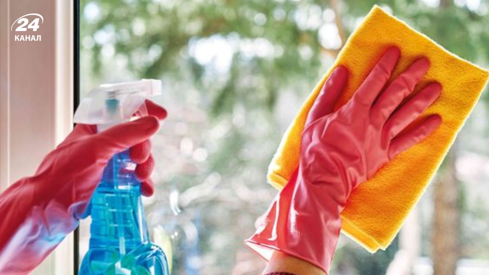 Благодаря раствору из спита и глицерина окна надолго будут оставаться чистыми Благодаря раствору из спита и глицерина окна надолго будут оставаться чистыми