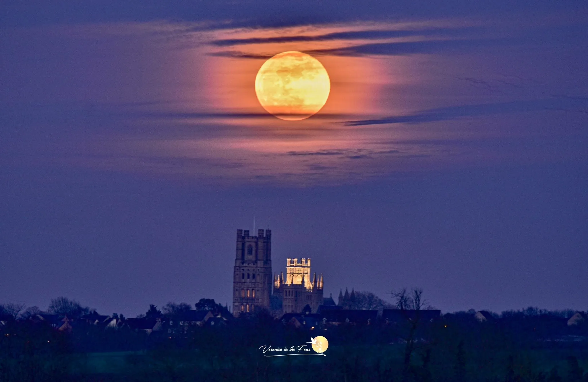 Повний місяць сходить над болотами Фенс, поблизу Вітчфорда в Кембриджширі, Велика Британія