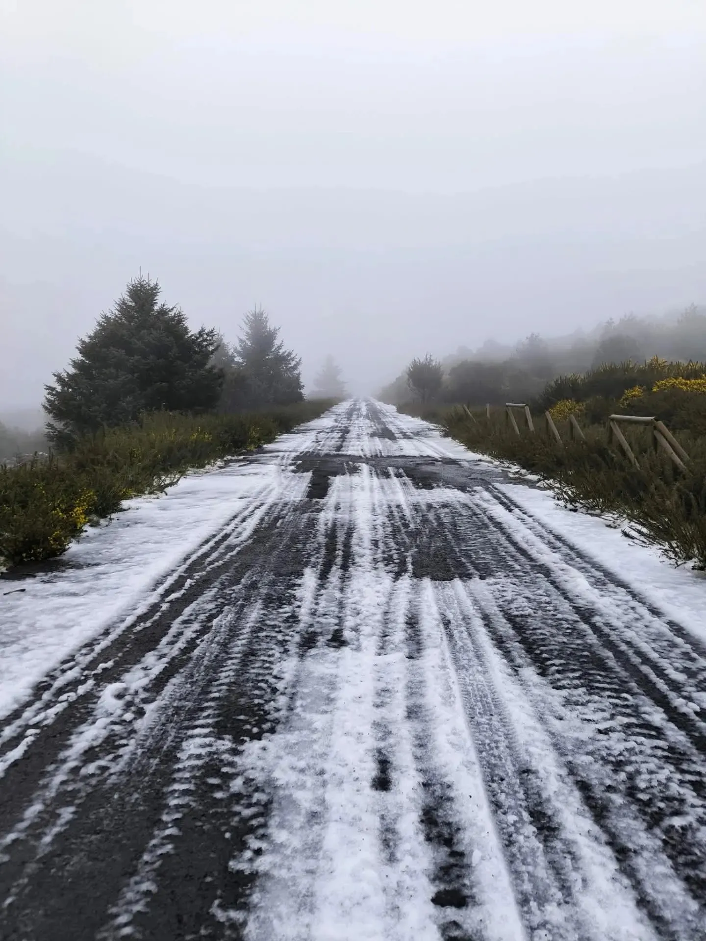 Засніжені дороги на Мадейрі / фото inna_english_madeira