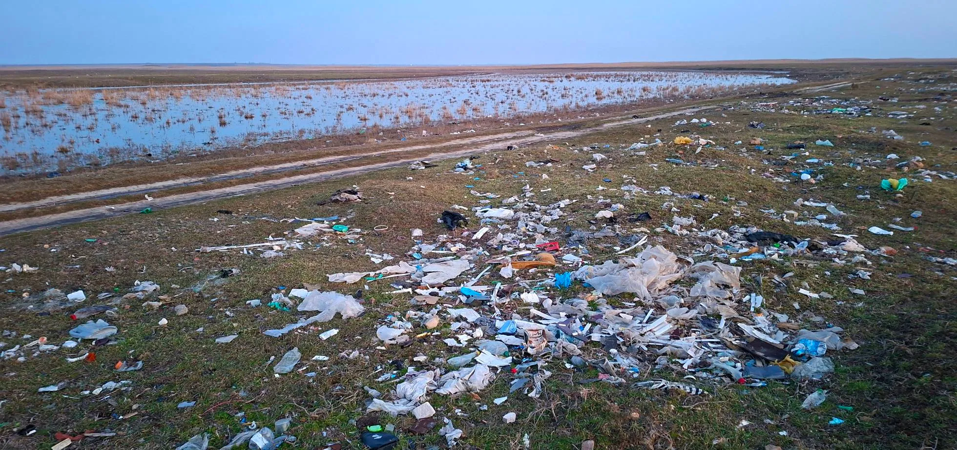 Рожеві пелікани Одещина Тузлівські лимани Дунайський біосферний заповідник 