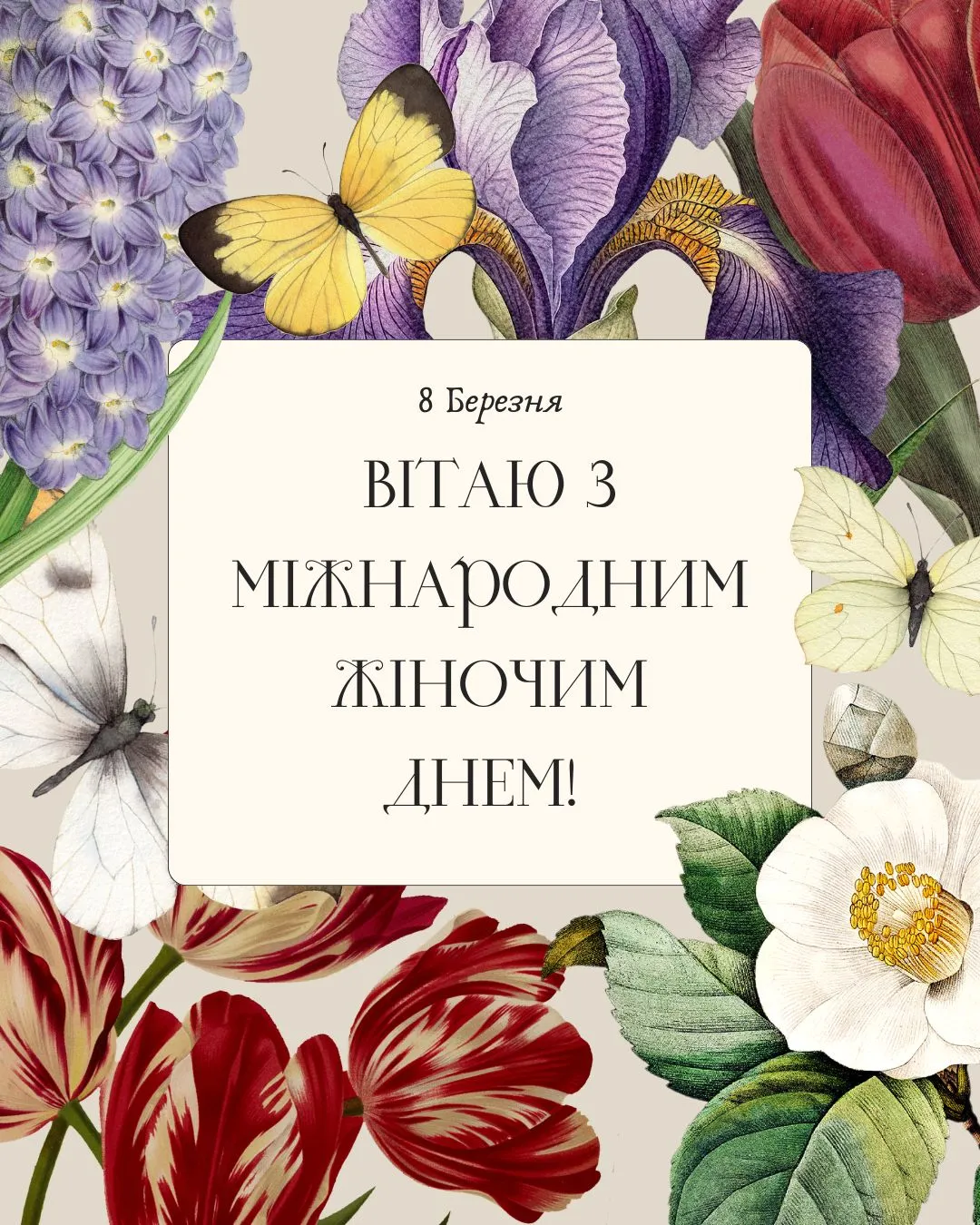 Поздравления с 8 марта 2026 года Поздравления с 8 марта 2026 года