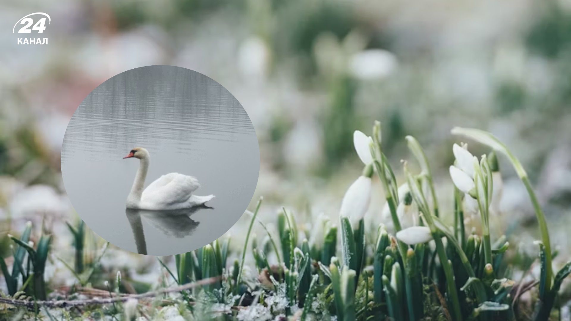 Погода 6 марта - 24 Канал Погода 6 марта - 24 Канал