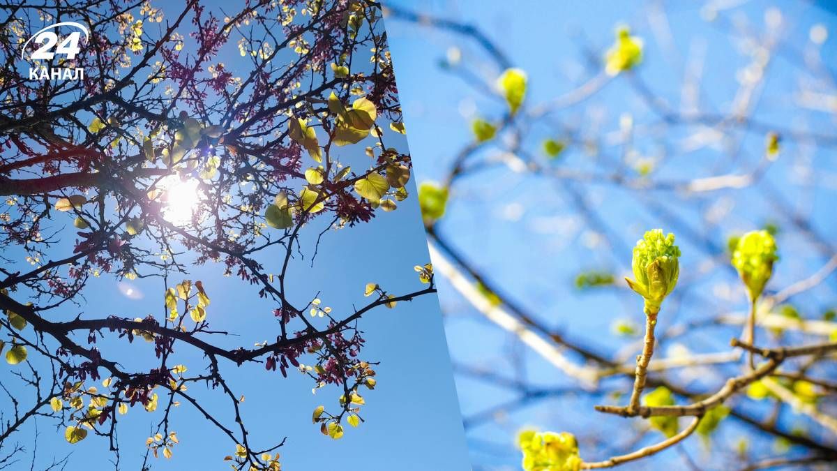 Погода в Україні