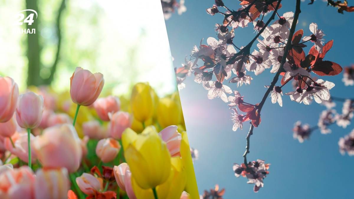 Погода на 8 марта 2026 года - 24 Канал