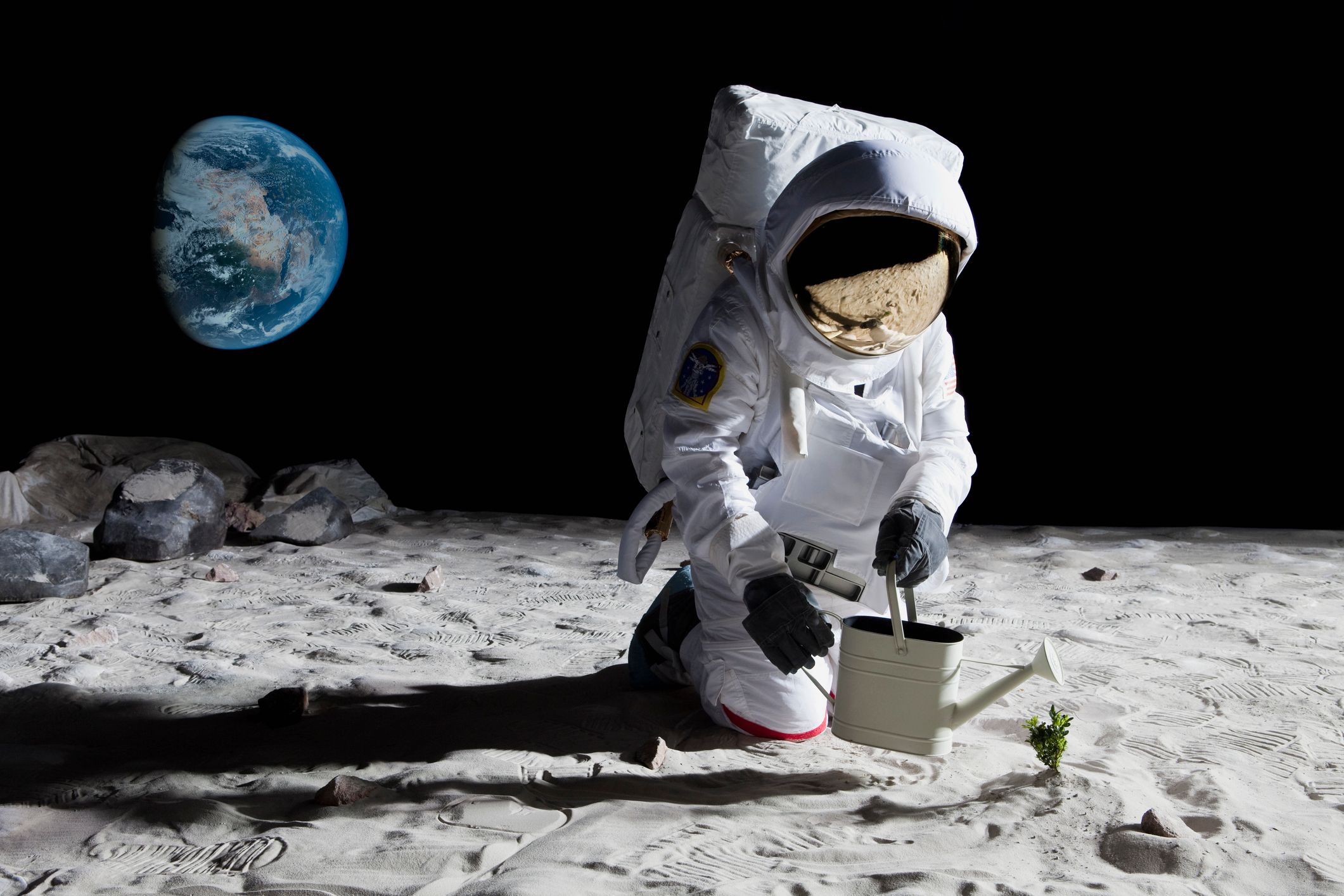 Дослідники виростили рослину у симуляції місячного пилу Дослідники виростили рослину у симуляції місячного пилу