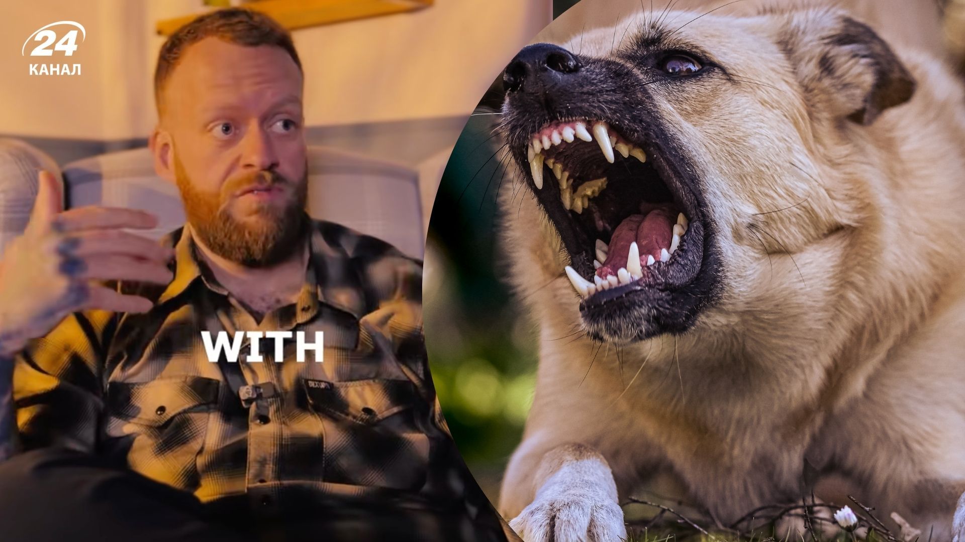 Кинолог назвал трех собак с проблемным поведением Кинолог назвал трех собак с проблемным поведением