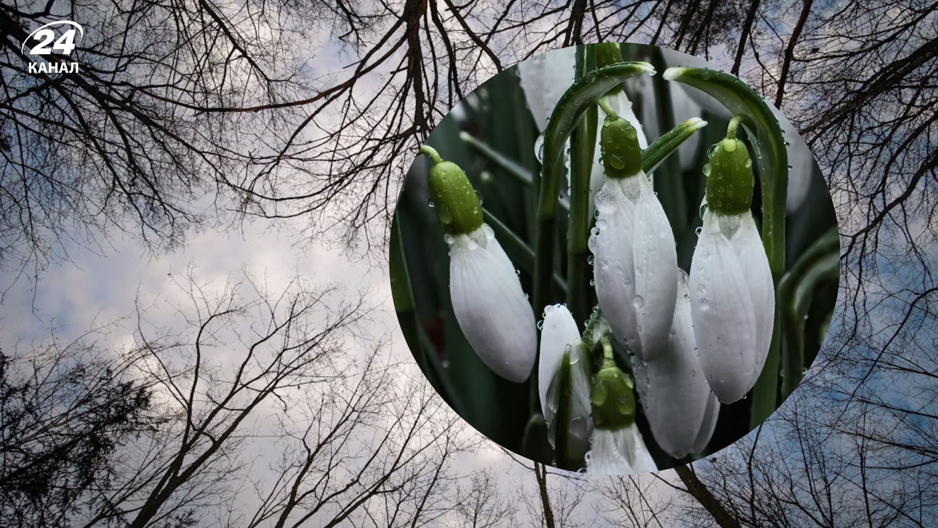 Днем тепло до +15, а ночью гололедица: погода на 7 марта - 24 Канал Днем тепло до +15, а ночью гололедица: погода на 7 марта - 24 Канал