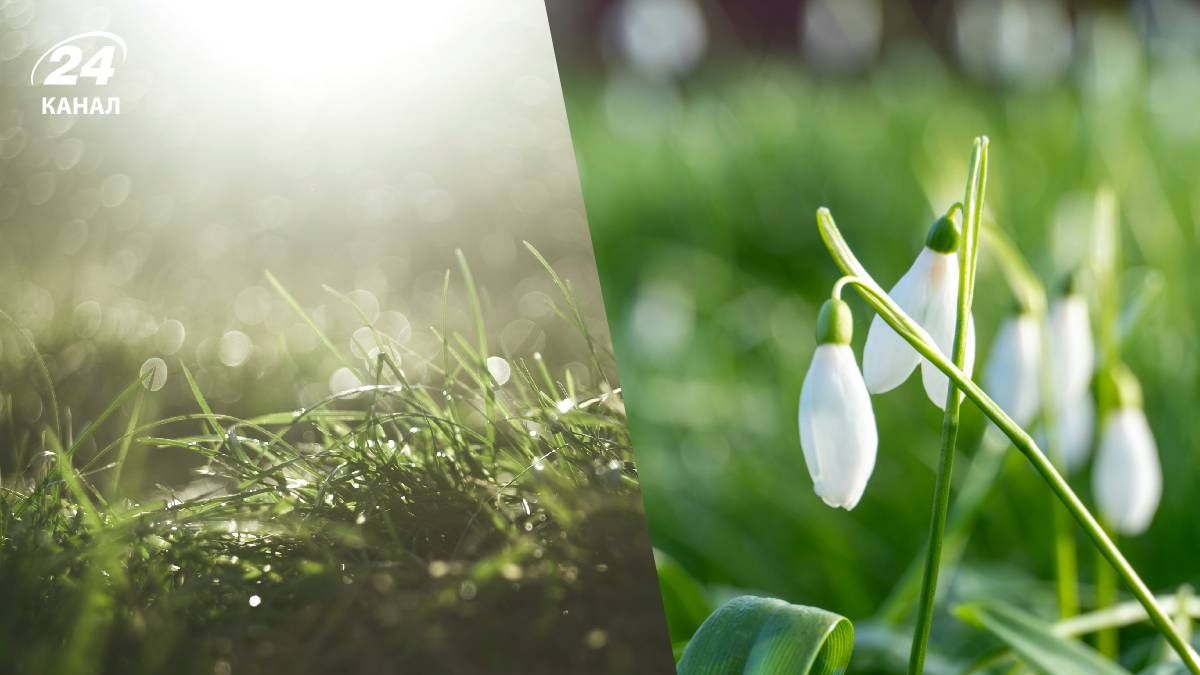 Прогноз погоды на выходные