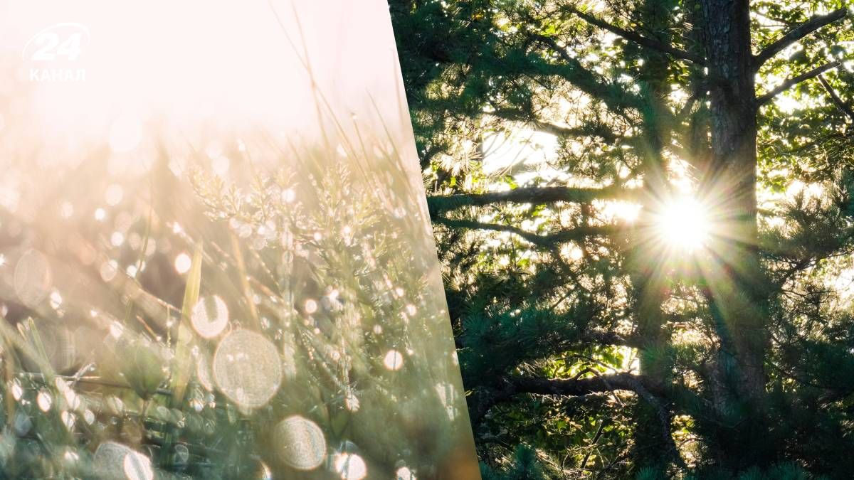 Погода в Україні на найближчий час Погода в Україні на найближчий час