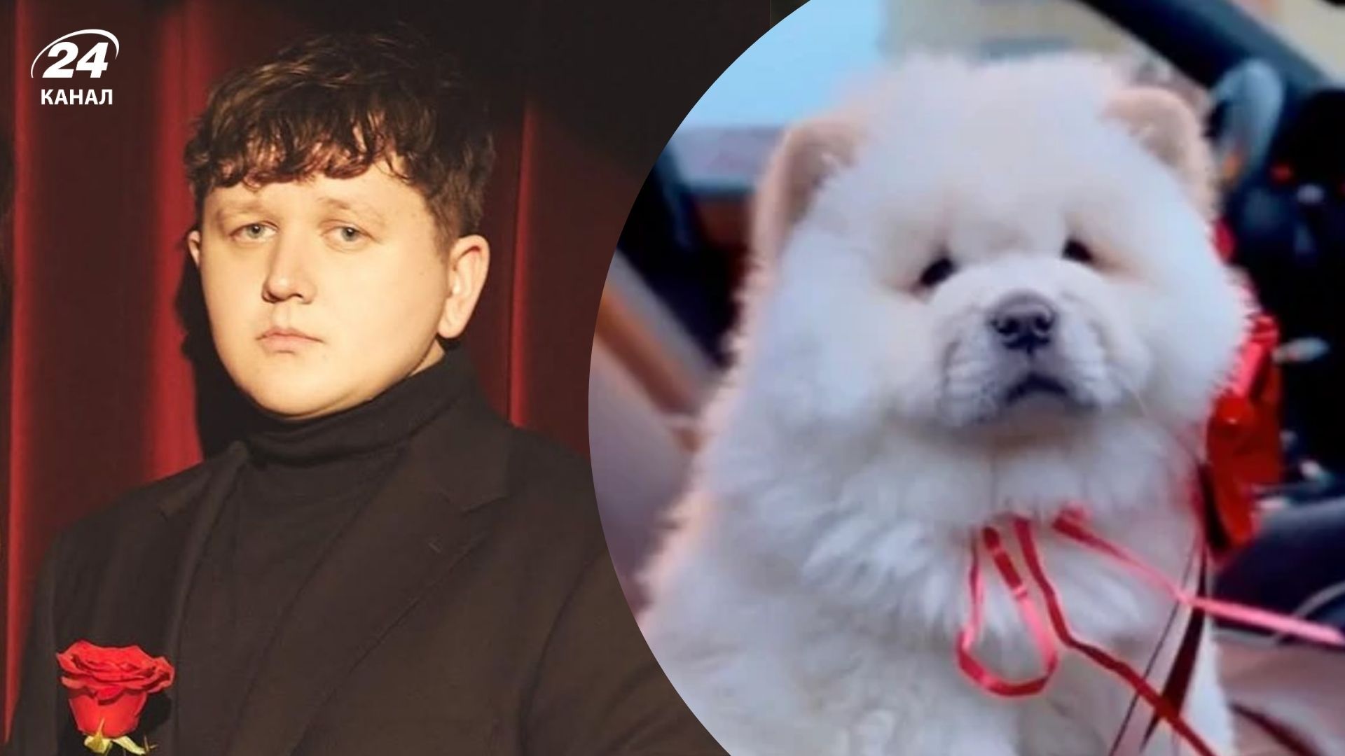 Чау-чау на ім’я Майкл: що відомо про домашнього улюбленця Лебіги Чау-чау на ім’я Майкл: що відомо про домашнього улюбленця Лебіги