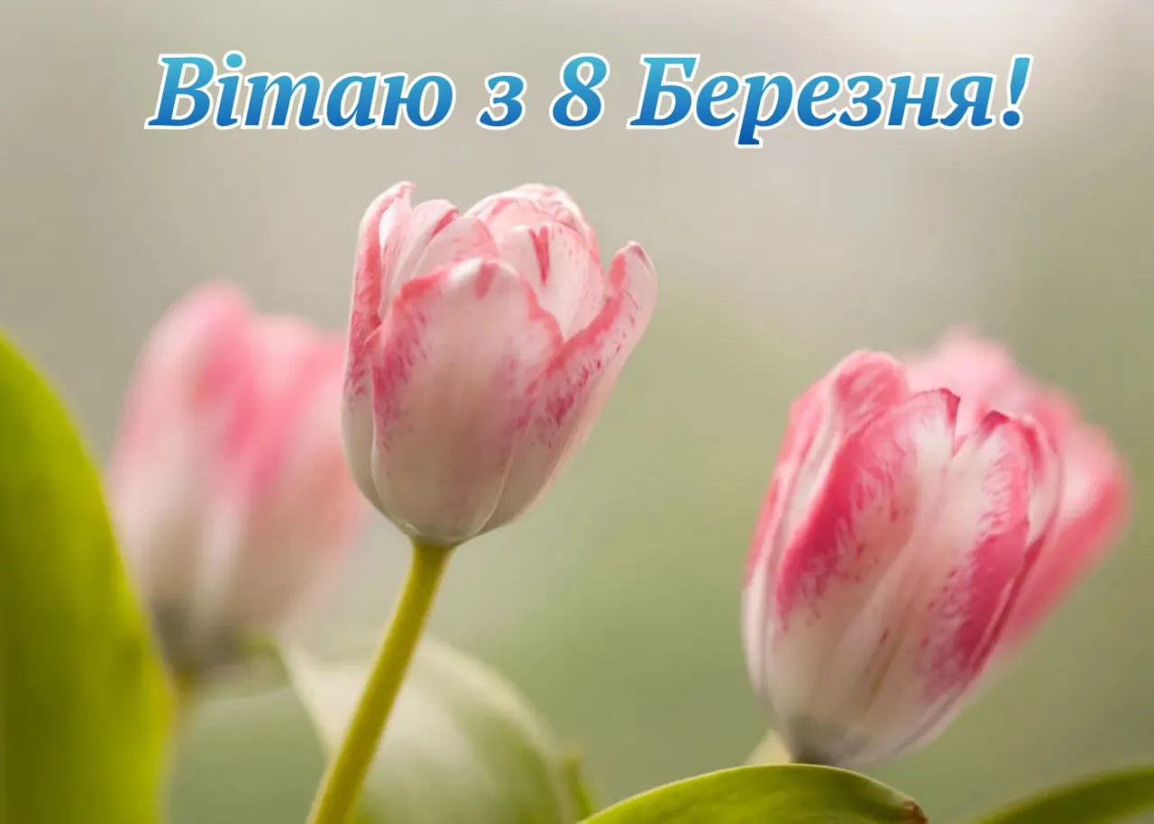 Поздравления с 8 марта для подруги с 8 марта для подруги 