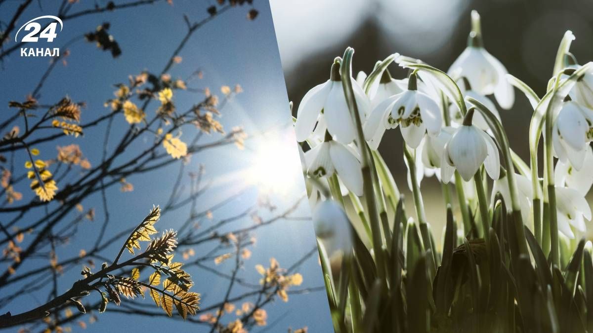 Прогноз погоди в Україні на 8 березня 2026 року