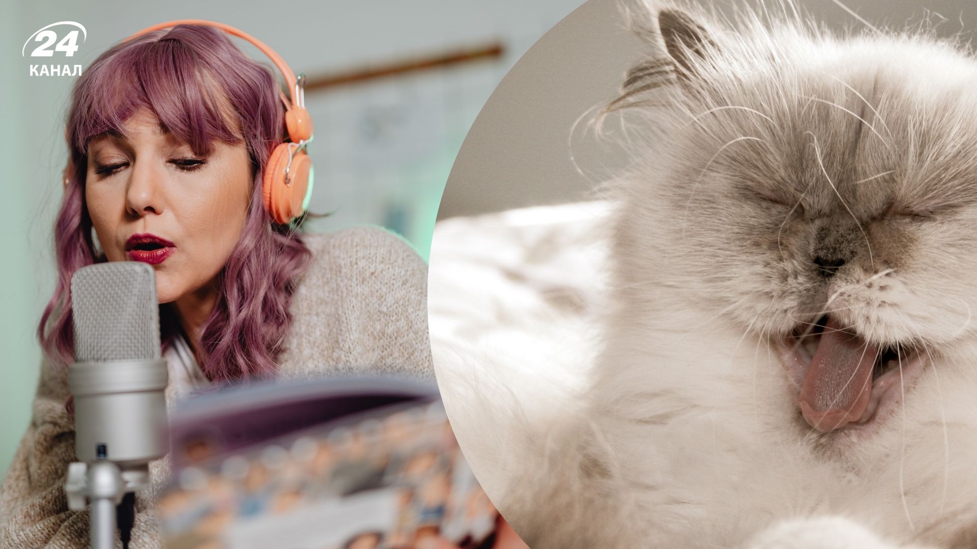 Действительно ли любимцы любят слушать песни