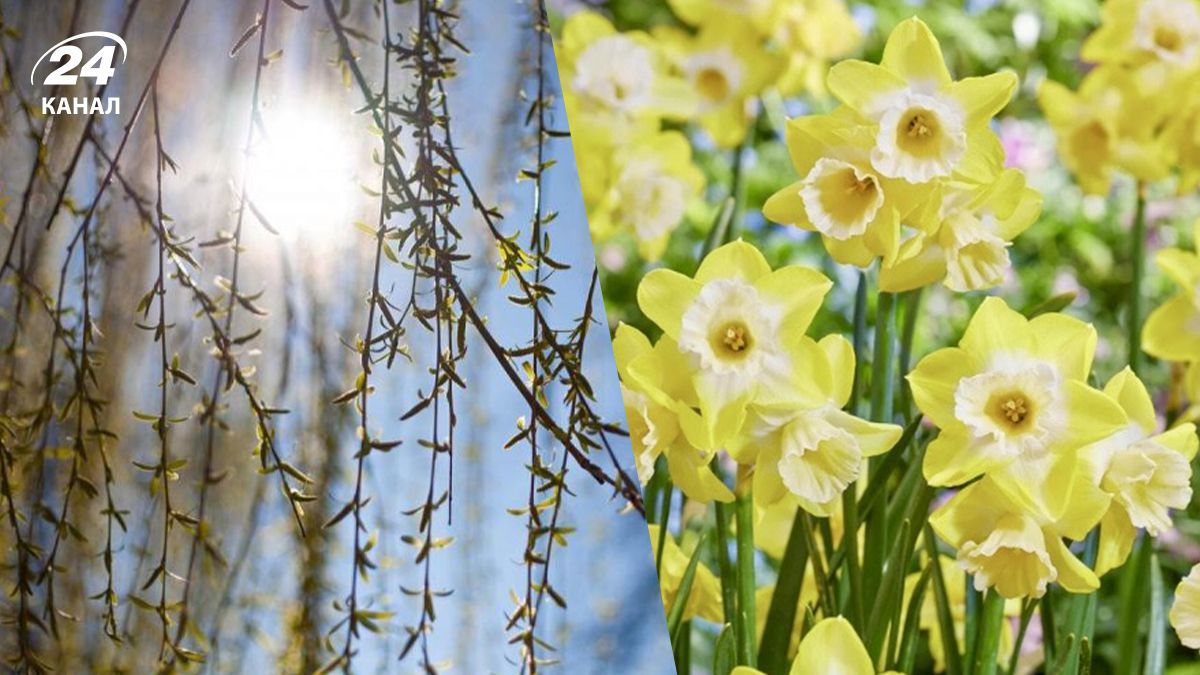 Погода в Украине на 9 марта на 9 марта