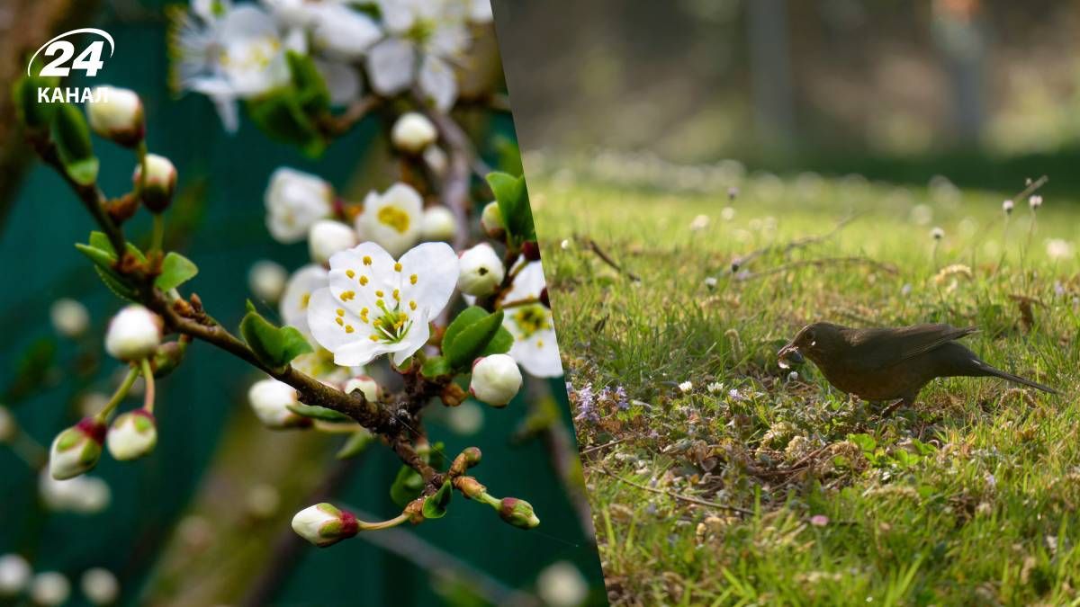 Прогноз погоди на тиждень в Україні - 24 Канал Прогноз погоди на тиждень в Україні - 24 Канал