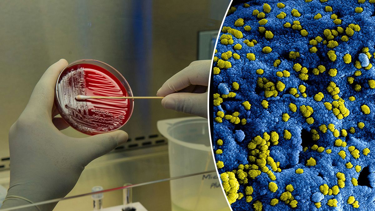 Как появилась жизнь на Земле – Ученые применяют новый метод для поиска начала всего Как появилась жизнь на Земле – Ученые применяют новый метод для поиска начала всего