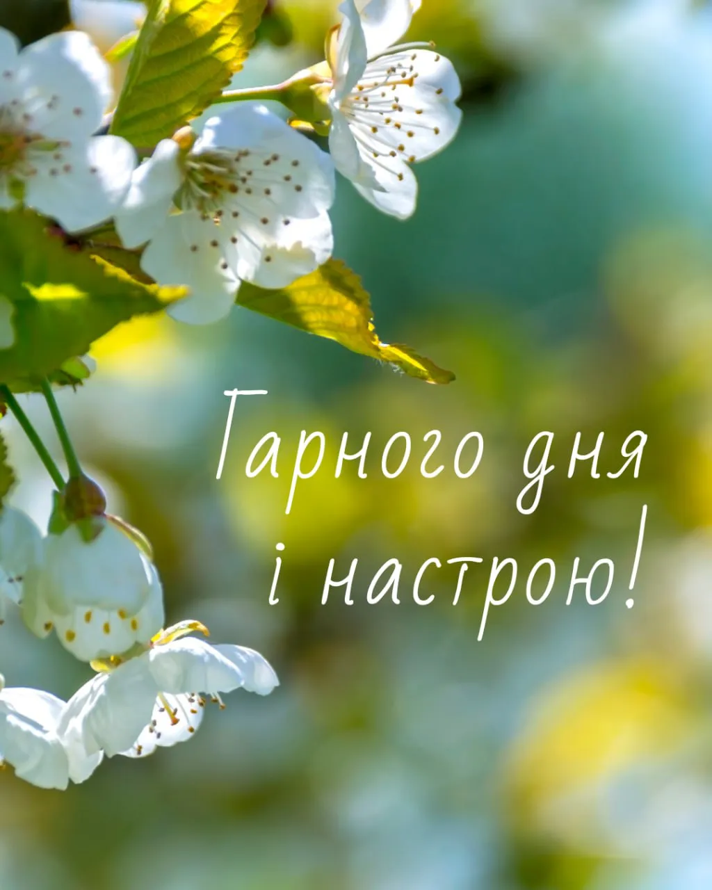 Побажання гарного дня і настрою