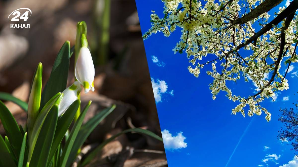 Еще на этой неделе в Украине будет комфортная погода