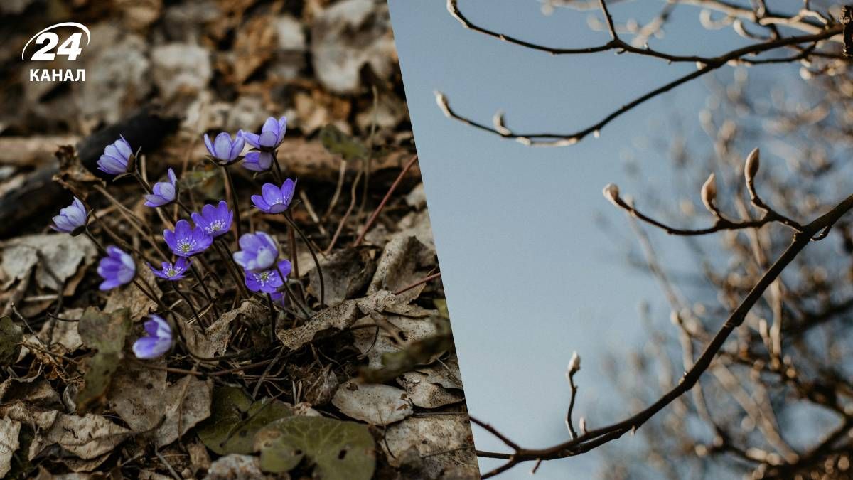 Температура повітря в Україні може знизитися
