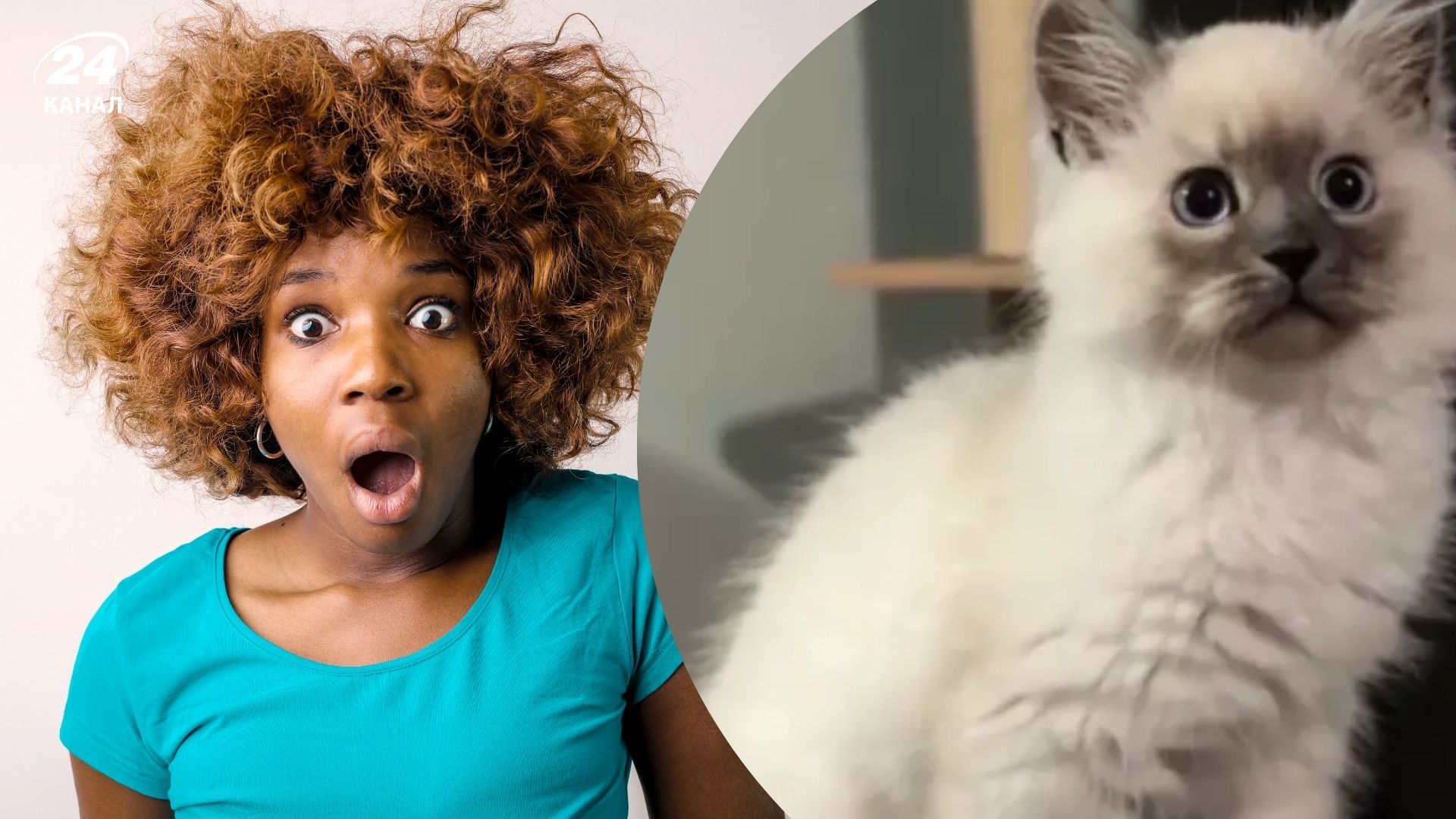 Від крихітного малюка до пухнастого гіганта: мережу підкорила історія кота