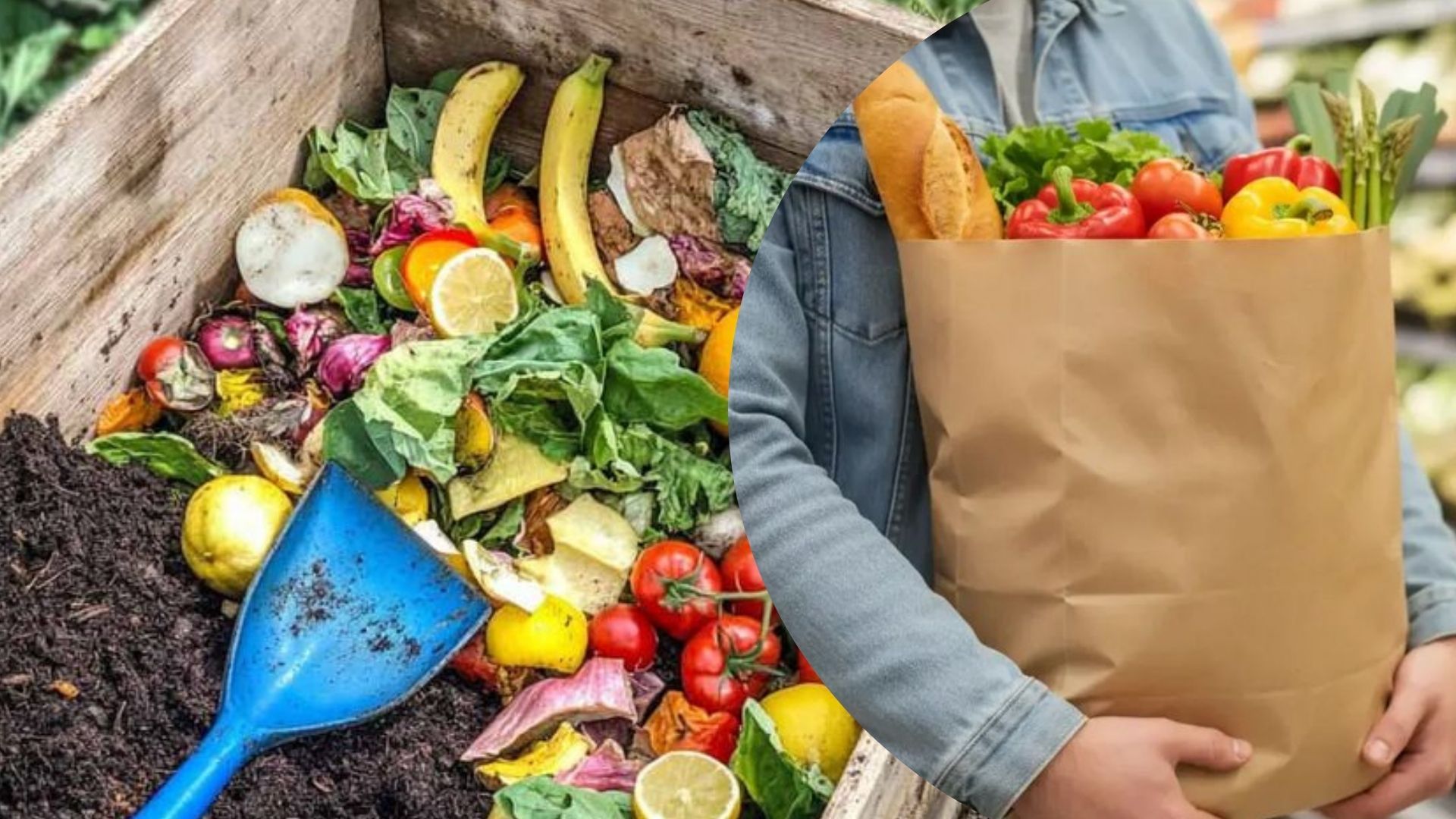 Як уникнути мух і запаху у компості